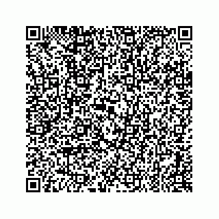 vCard 79519710384