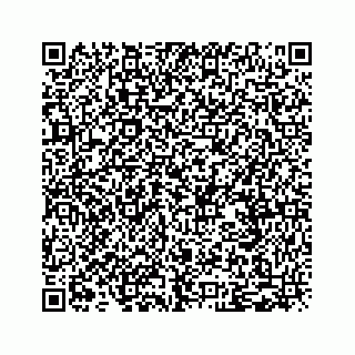 vCard 79519710387