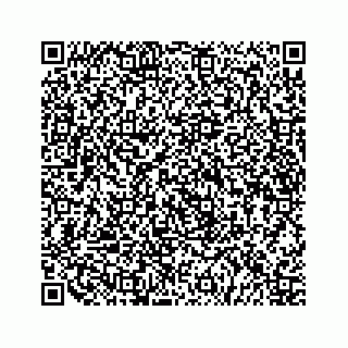 vCard 79519710515