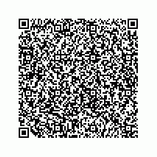 vCard 79519710521