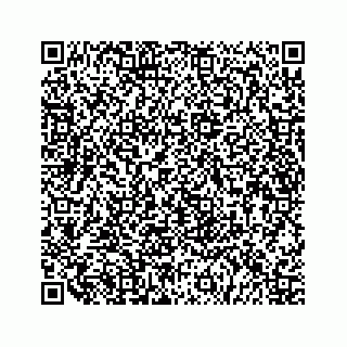 vCard 79519710532