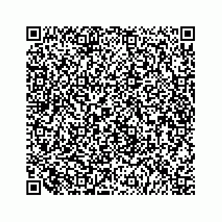 vCard 79519710540