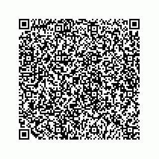 vCard 79519710631