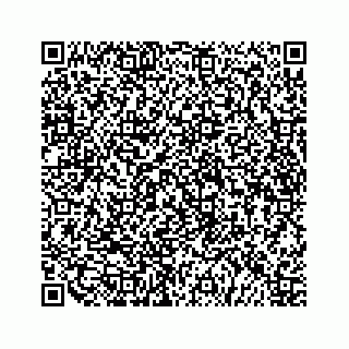 vCard 79519716205