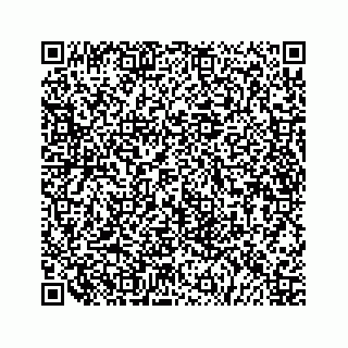 vCard 79519716331