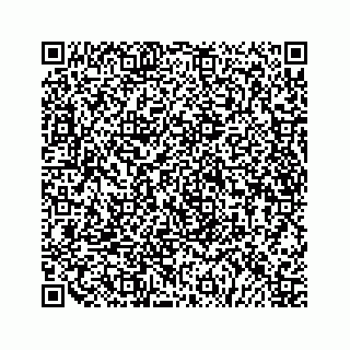 vCard 79519716335