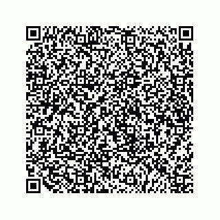 vCard 79519720275
