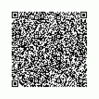 vCard 79519720317