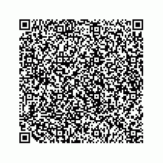 vCard 79519720333