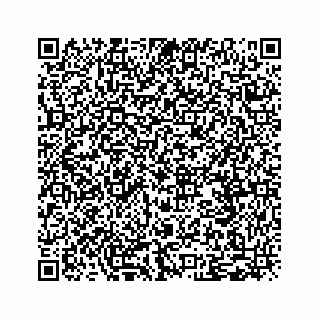 vCard 79519720373