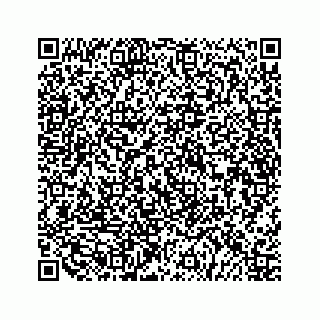 vCard 79519720378