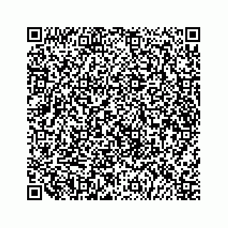 vCard 79519720382