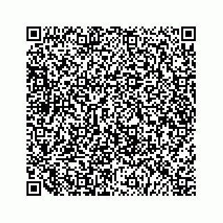 vCard 79519720384