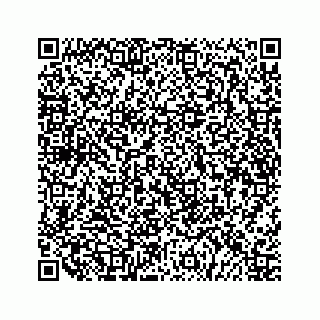 vCard 79519720385