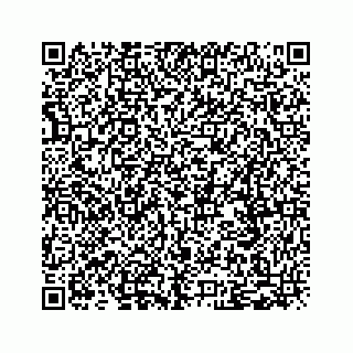 vCard 79519720386