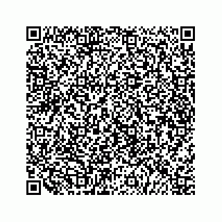 vCard 79519720399