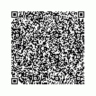 vCard 79519720481