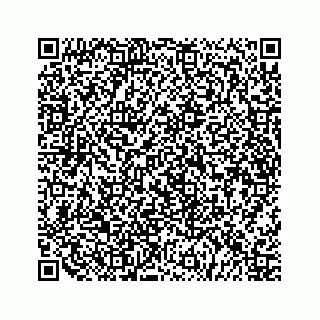 vCard 79519720531