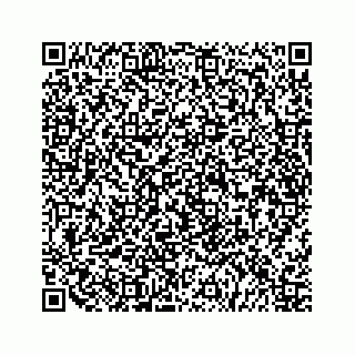 vCard 79519720540