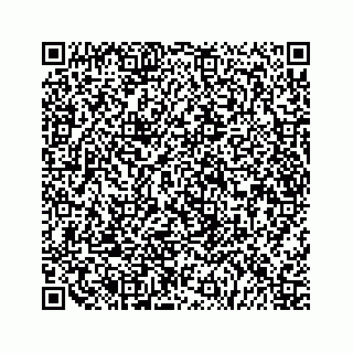 vCard 79519720550