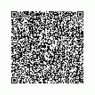vCard 79519720603