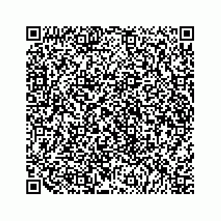 vCard 79519723803