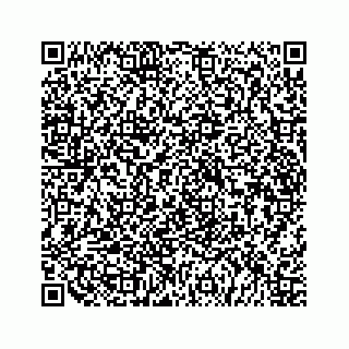 vCard 79519723819