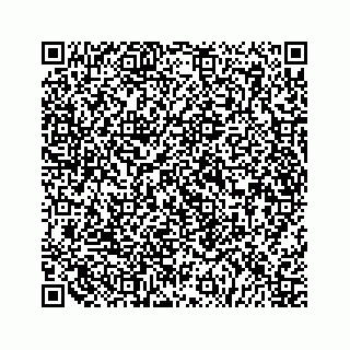vCard 79519725410