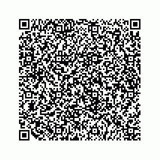 vCard 79519725411