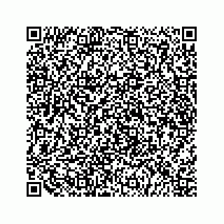 vCard 79519725413