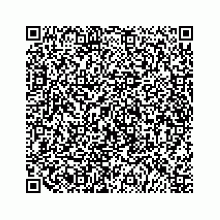 vCard 79519750272