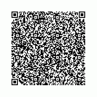 vCard 79519750371