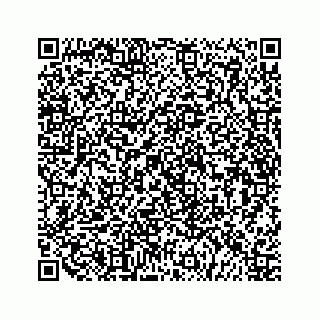 vCard 79519755229