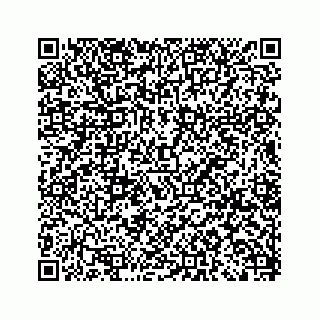 vCard 79519755251