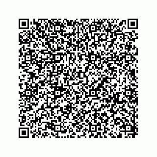 vCard 79519758003