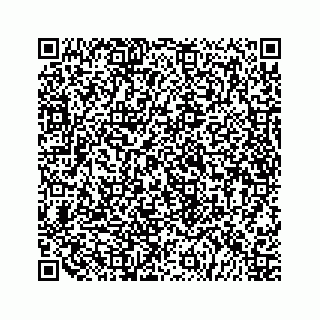 vCard 79519758073