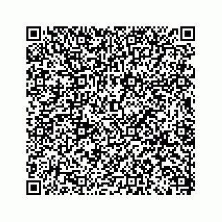 vCard 79519758084