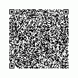 vCard 79519758131