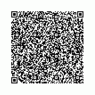 vCard 79519758531