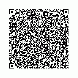 vCard 79519758533