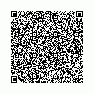 vCard 79519767385