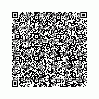 vCard 79519767390