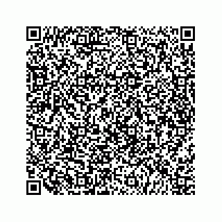 vCard 79519768074
