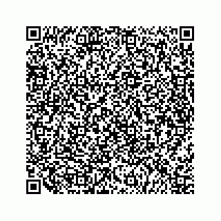 vCard 79519768131