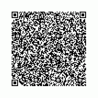 vCard 79519768176