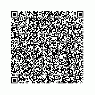 vCard 79519768235
