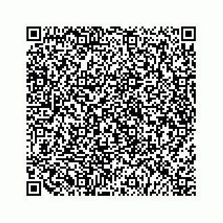 vCard 79519768381