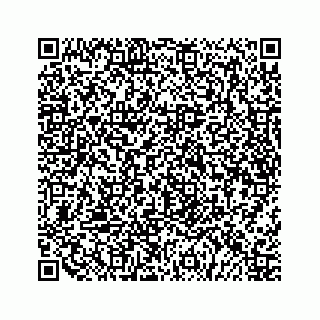 vCard 79519768387