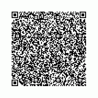 vCard 79519768400