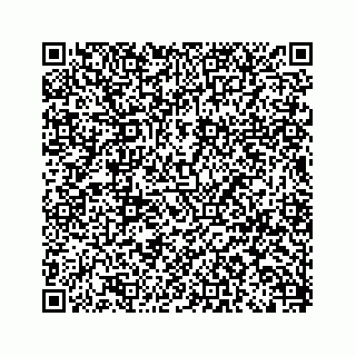 vCard 79519797033